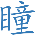 瞳