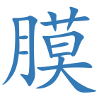 膜
