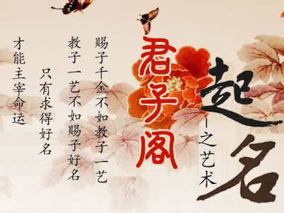 免费起名字