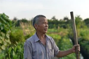 梦见老伯伯