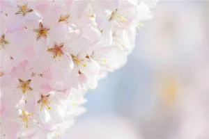皓字起名寓意
