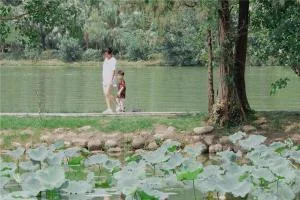 姓武的男孩名字