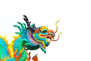 1976年属龙人的命运