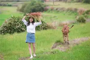 31岁蛇啥命