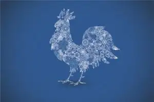 属鸡破太岁