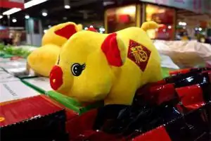 属猪的年龄对照表