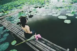 属狗的和属羊的合不合