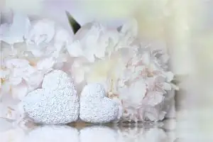 属鼠和属虎的犯冲吗