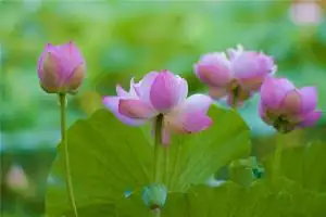 财运和四柱八字有什么关系