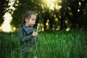 命坐文昌的意思