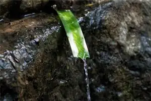 梦见山泉水