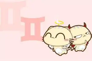 生肖属什么的双子座命最好？