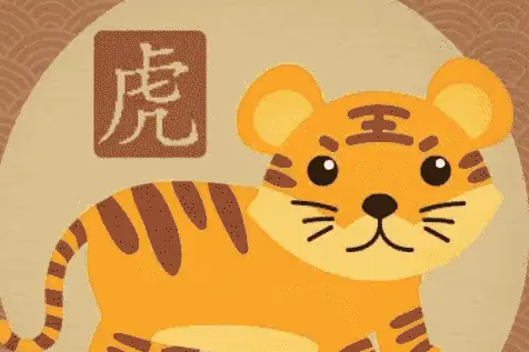 属虎