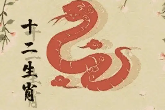 属蛇