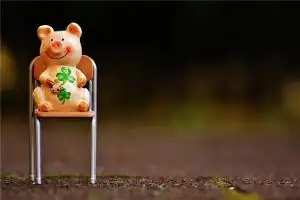 属猪男人性格和脾气