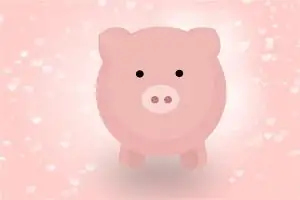 属猪女戴什么手链转运