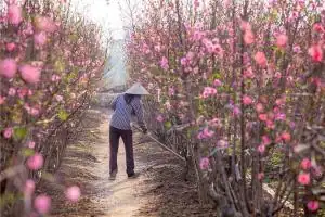 2024年犯太岁动土了怎么办，2024年不能动土的属相有哪些