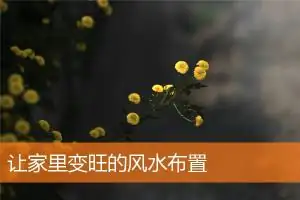 让家里变旺的风水布置