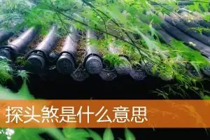 探头煞是什么意思