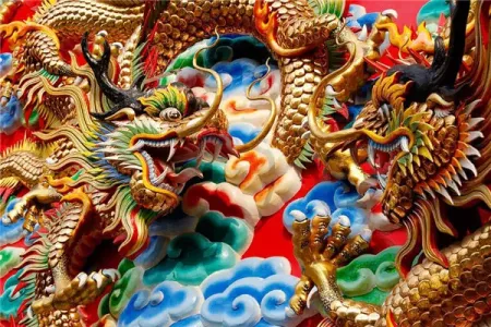 属龙人最好的方向