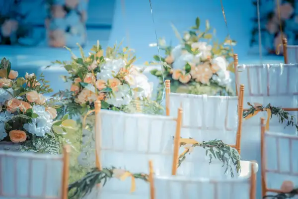 500650484_banner.jpg
