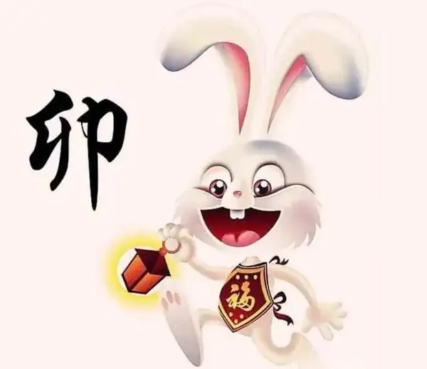 属兔2022年运势运程 属兔人2022全年运势详解 属兔2022年运势运程 属兔人2022全年运势详解