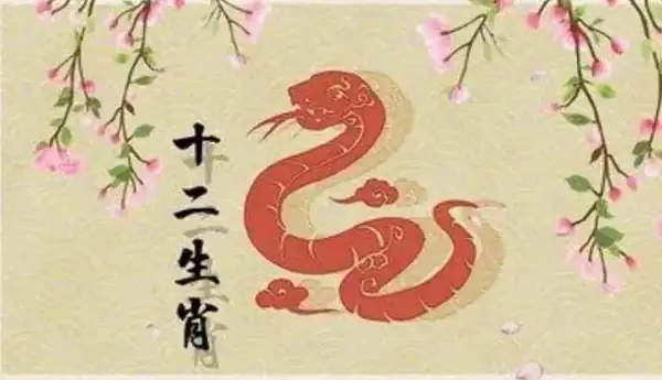 属蛇2022年运势运程 属蛇人2022全年运势详解