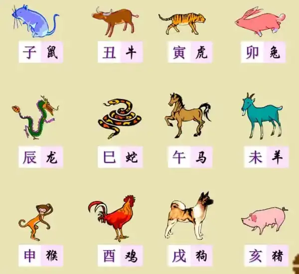 十二生肖开运十大方法,十二生肖开运秘笈 十二生肖开运十大方法,十二生肖开运秘笈