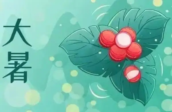 大暑节气的特点 大暑节气的特点