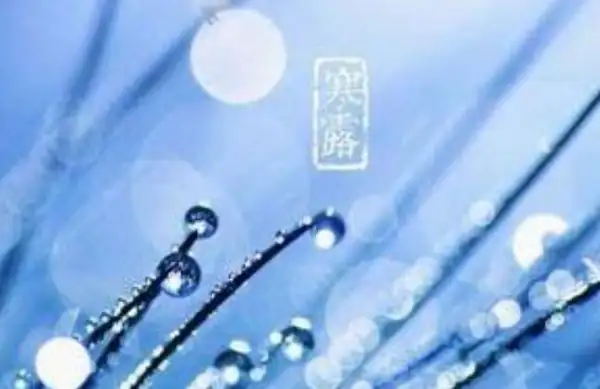 寒露节气话养生 寒露节气话养生
