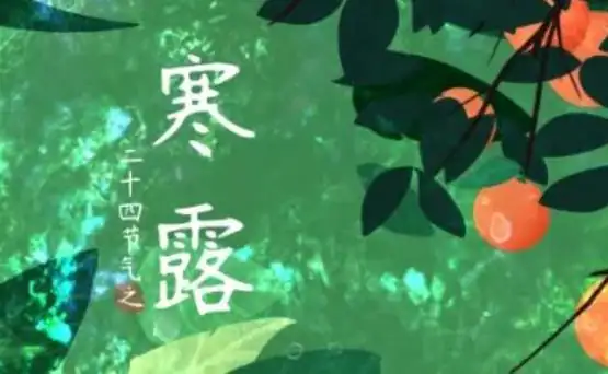 寒露是什么节气,寒露什么意思 寒露是什么节气,寒露什么意思